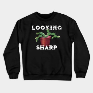 Looking Sharp Crewneck Sweatshirt